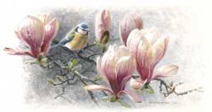 Schilderij Pimpelmees in magnolia