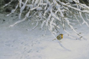 Schilderij Roodborst in sneeuw