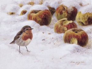 Schilderij roodborst met appels